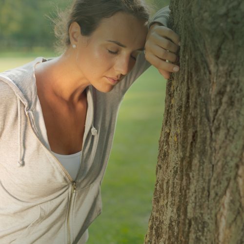 Image Hero + Filter (15)