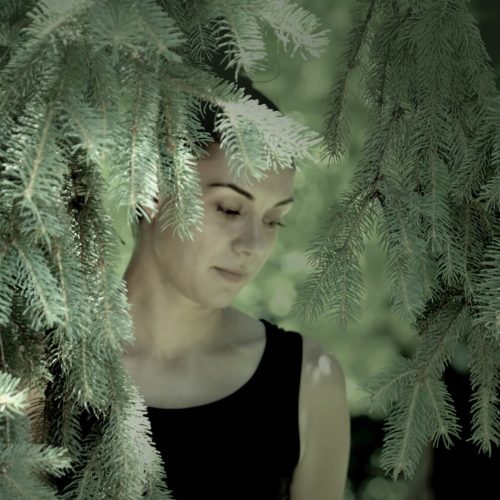 Image Hero + Filter (18)