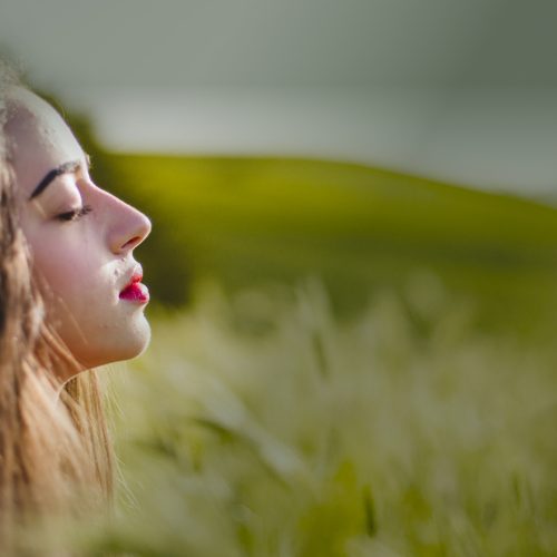 Image Hero + Filter (19)