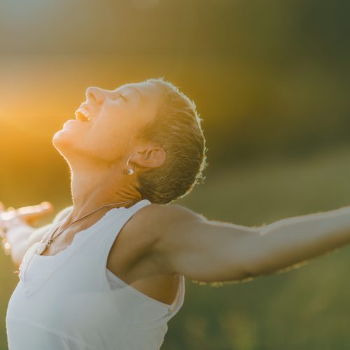 Image Hero + Filter (20)