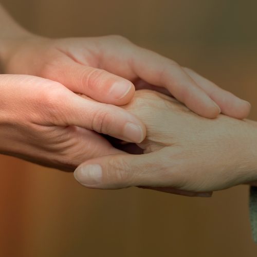 Image Hero + Filter (21)